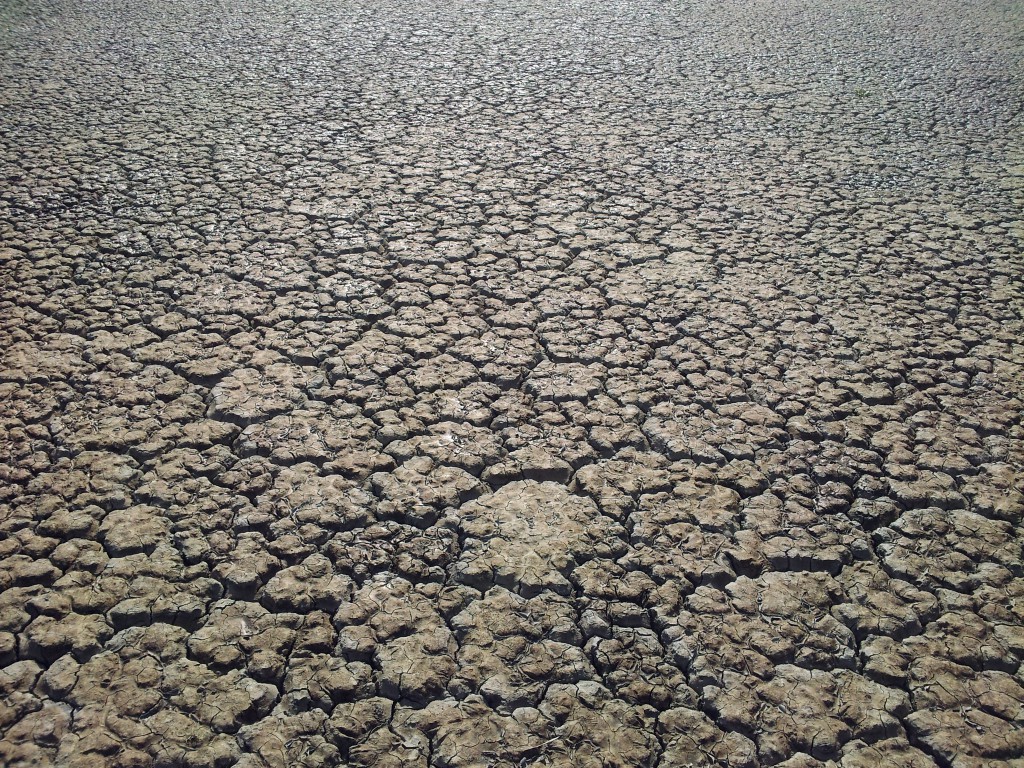 szita Land-ART műhely